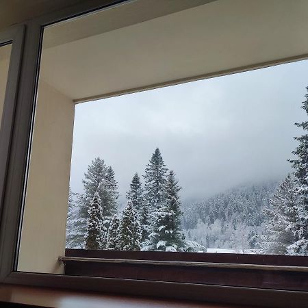Hotel Ciucas BaileTusnad Luaran gambar