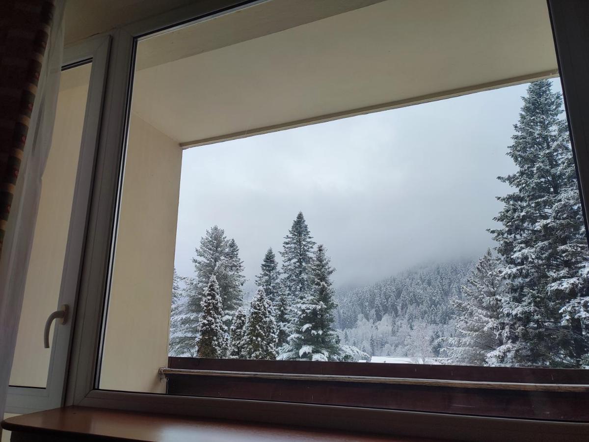Hotel Ciucas BaileTusnad Luaran gambar